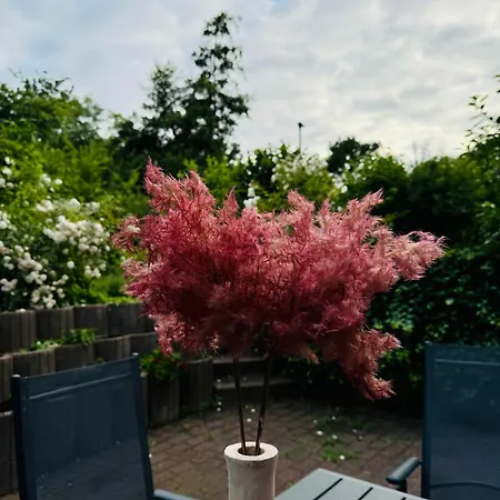 Charmante In -ihr Perfektes Zuhause Am Meer! Terasse, Parken & Strand! W1 Lejlighed Scharbeutz